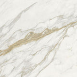 24 X 24 Marmi Macchiavecchia Levigato Polished Marble Look Porcelain Tile