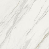 24 X 24 Marmi Macchiavecchia Levigato Polished Marble Look Porcelain Tile-PORCELAIN-Large Format-American Tile Depot