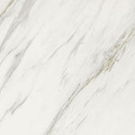 24 X 24 Marmi Macchiavecchia Levigato Polished Marble Look Porcelain Tile-PORCELAIN-Large Format-American Tile Depot