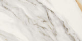 12 X 24 Marmi Macchiavecchia Matte Marble Look Porcelain Tile