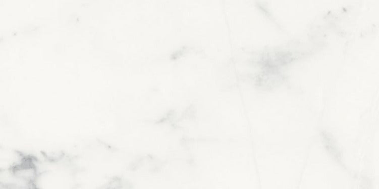 24 X 48 Origines Blanc Matte Marble Look Porcelain Tile-PORCELAIN-Large Format-American Tile Depot