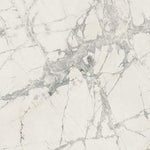 24 X 24 Prexious Mountain Treasure Glossy Marble Look Porcelain Tile-PORCELAIN-Large Format-American Tile Depot