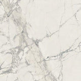 24 X 24 Prexious Mountain Treasure Glossy Marble Look Porcelain Tile