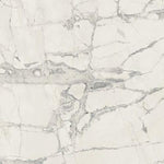 24 X 24 Prexious Mountain Treasure Glossy Marble Look Porcelain Tile-PORCELAIN-Large Format-American Tile Depot