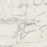 24 X 24 Prexious Mountain Treasure Glossy Marble Look Porcelain Tile-PORCELAIN-Large Format-American Tile Depot