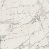 24 X 24 Prexious Mountain Treasure Glossy Marble Look Porcelain Tile