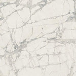 24 X 24 Prexious Mountain Treasure Glossy Marble Look Porcelain Tile-PORCELAIN-Large Format-American Tile Depot