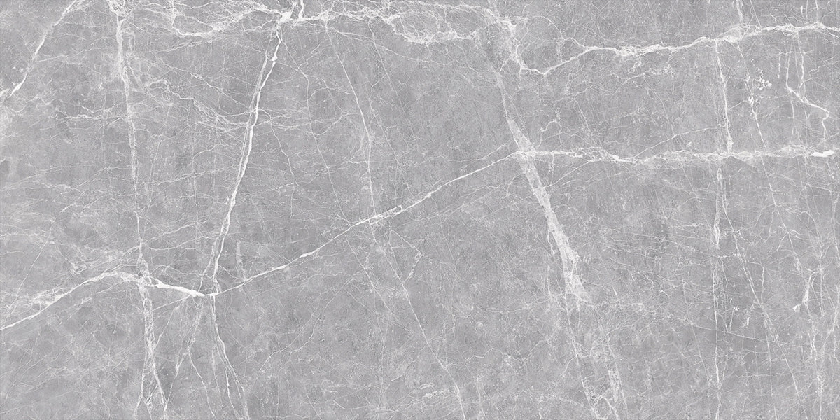 24 X 48 Terre Grey Polished Marble Look Porcelain Tile-Porcelain Tile Large Formate-American Tile Depot