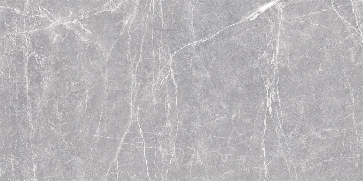 24 X 48 Terre Grey Polished Marble Look Porcelain Tile-Porcelain Tile Large Formate-American Tile Depot