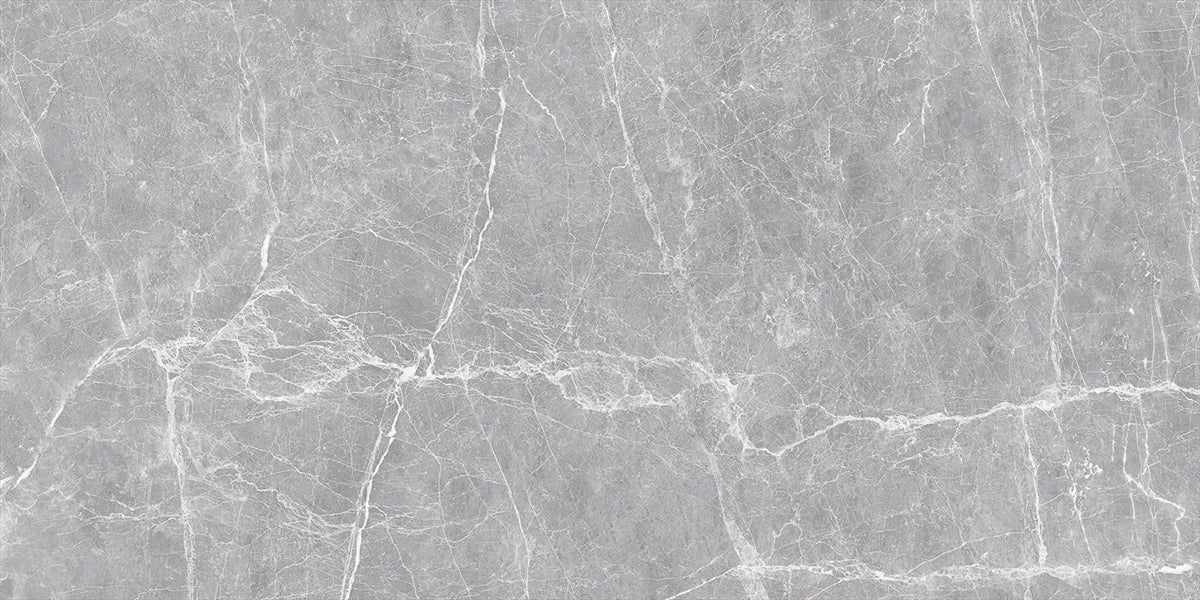 24 X 48 Terre Grey Polished Marble Look Porcelain Tile-Porcelain Tile Large Formate-American Tile Depot