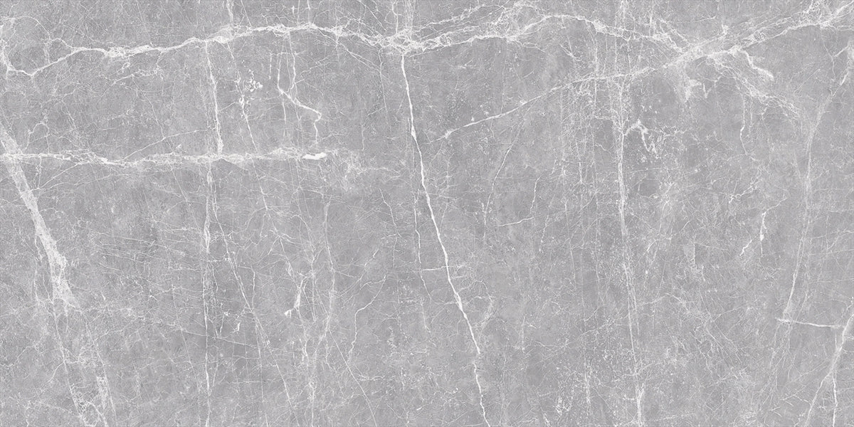 24 X 48 Terre Grey Polished Marble Look Porcelain Tile-Porcelain Tile Large Formate-American Tile Depot