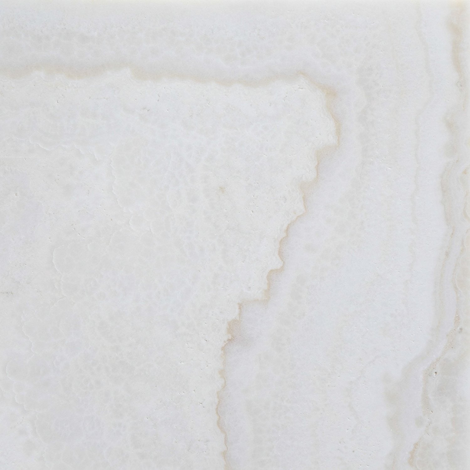 12 X 12 Premium White Onyx CROSS-CUT Polished Field Tile