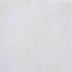 12 X 12 Premium White Onyx CROSS-CUT Polished Field Tile