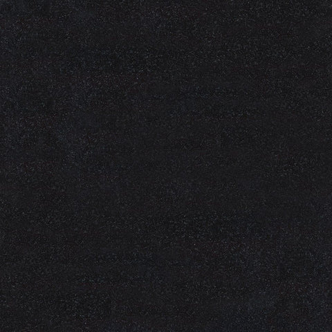 Sample of 24 X 24 Absolute Black Granite Polished Tile-Sample-American Tile Depot