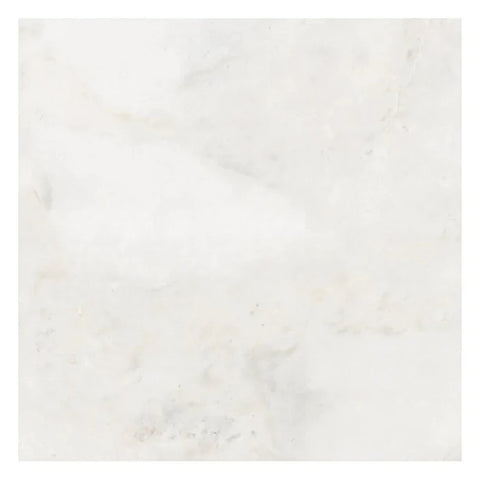 24 X 24 Bianco Congelato Dolomite Leathered Tile