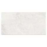 12 X 24 Bianco Congelato Dolomite Leathered Tile