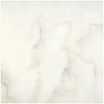 Sample of 24 X 24 Calacatta Oliva Marble Polished Tile-Sample-American Tile Depot