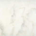 Sample of 18 X 18 Calacatta Oliva Marble Polished Tile-Sample-American Tile Depot