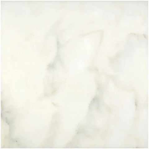 24 X 24 Calacatta Oliva Marble Honed Tile