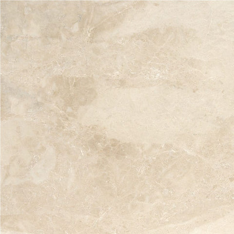 24 X 24 Cappuccino Marble Polished Tile