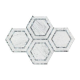 Carrara White Marble Honed 5" Hexagon Combination MosaicTile w / Blue-Gray