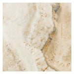 18 X 18 Latravonya Travertine Filled & Honed Tile-Travertine Tile - Large Formate-American Tile Depot