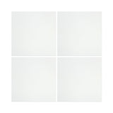 12 X 12 Thassos White Marble Honed Field Tile