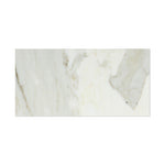 12 X 24 Calacatta Gold Marble Honed Field Tile