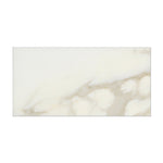 3 X 6 Calacatta Gold Marble Honed Subway Brick Field Tile