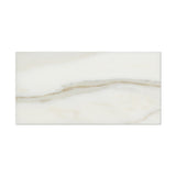 3 X 6 Calacatta Gold Marble Honed Subway Brick Field Tile