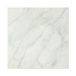 18 X 18 Calacatta Gold Marble Honed Field Tile