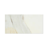 12 X 24 Calacatta Gold Marble Honed Field Tile