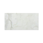 12 X 24 Calacatta Gold Marble Honed Field Tile