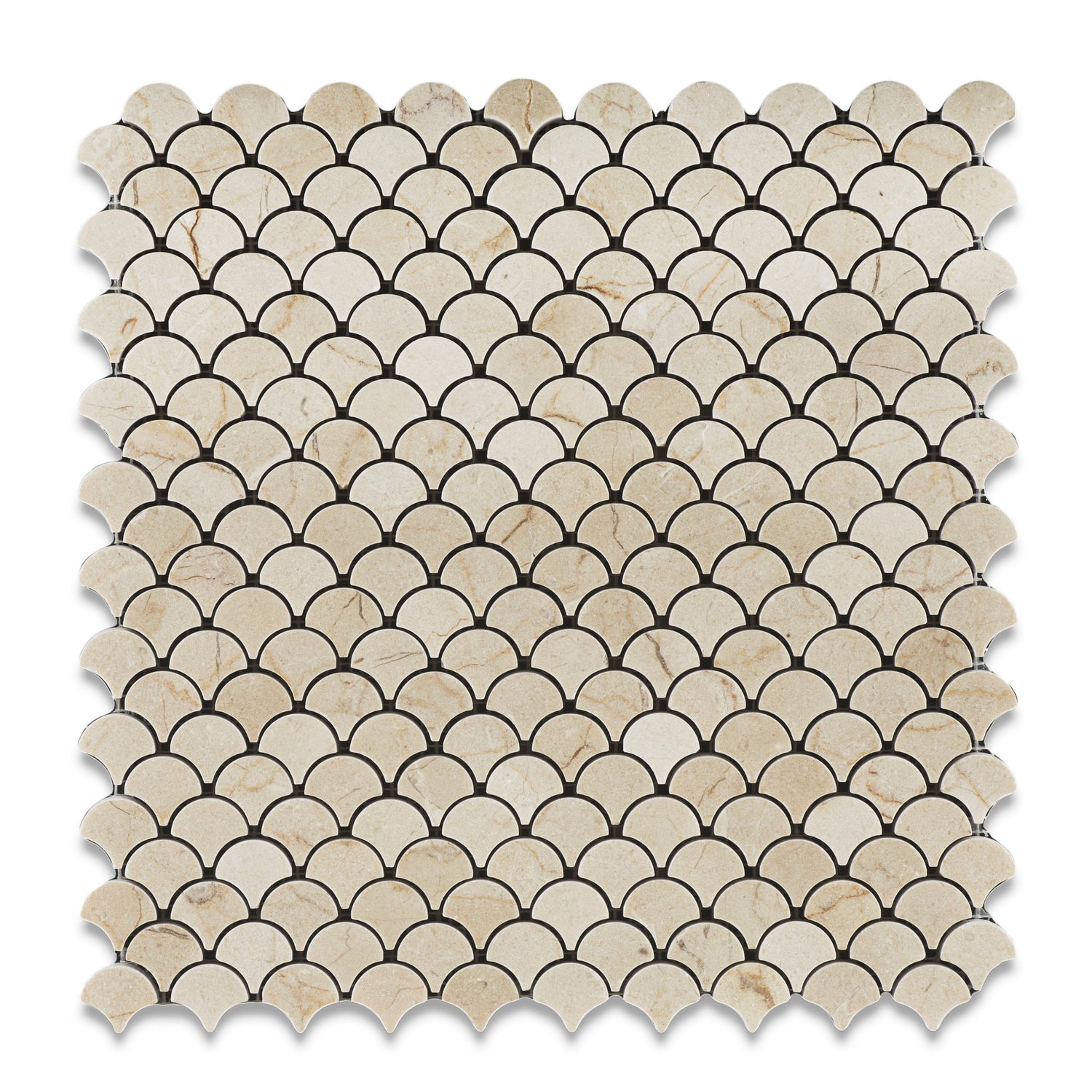 Crema Marfil Marble Honed Fan Mosaic Tile