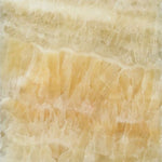 12 X 12 Honey Onyx Polished Field Tile