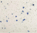 24 x 24 Terrazzo Blue Marble Polished Field Tile