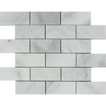 2 x 4 Bianco Venatino (Bianco Mare) Marble Polished Brick Mosaic Tile